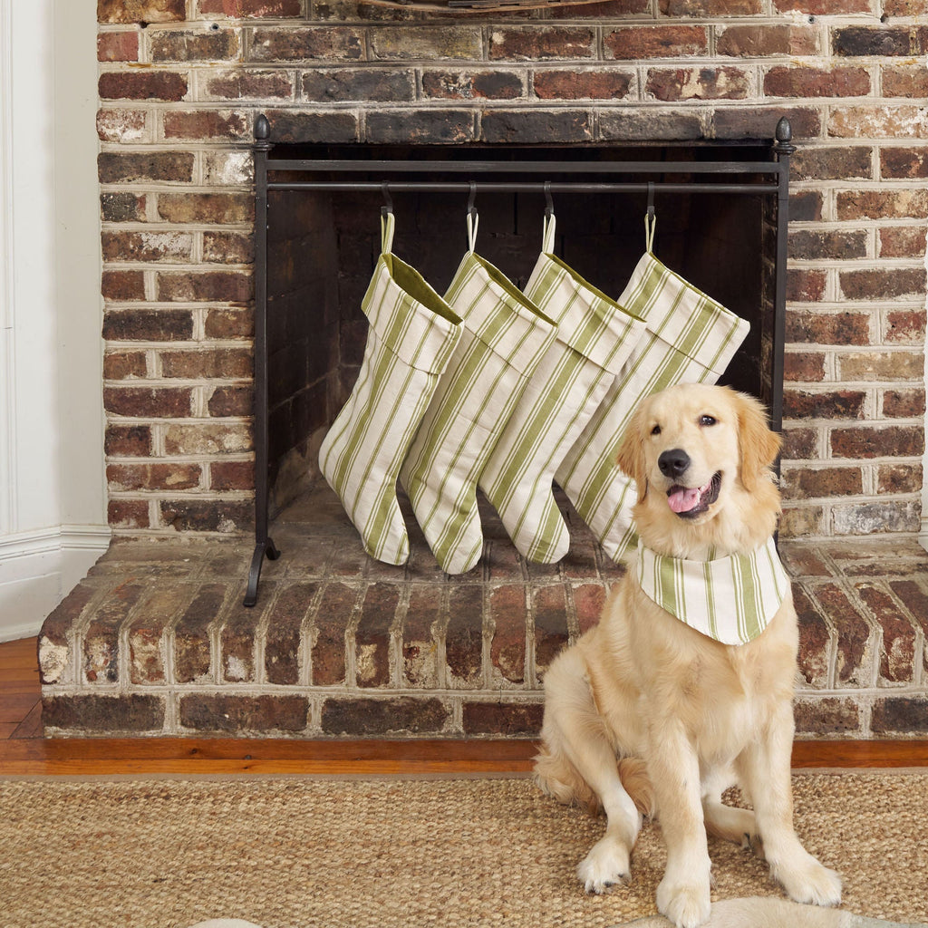 green striped stocking