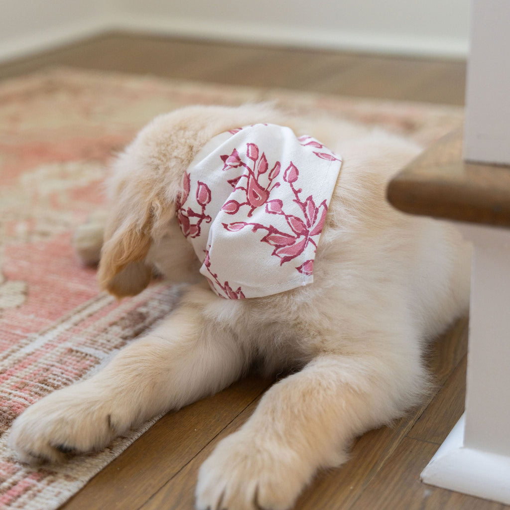 Puppy wearing a pink and white bandana on a wooden floor.